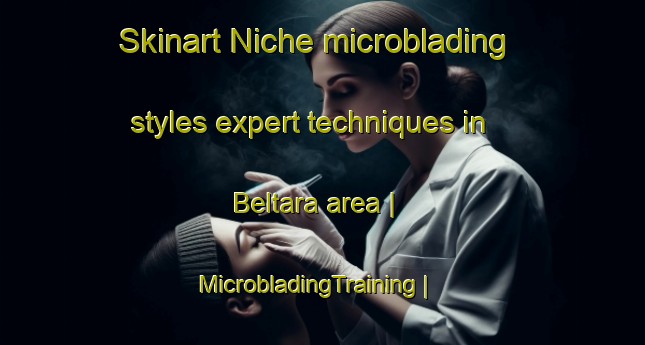 Skinart Niche microblading styles expert techniques in Beltara area | MicrobladingTraining | MicrobladingClasses | SkinartTraining-India